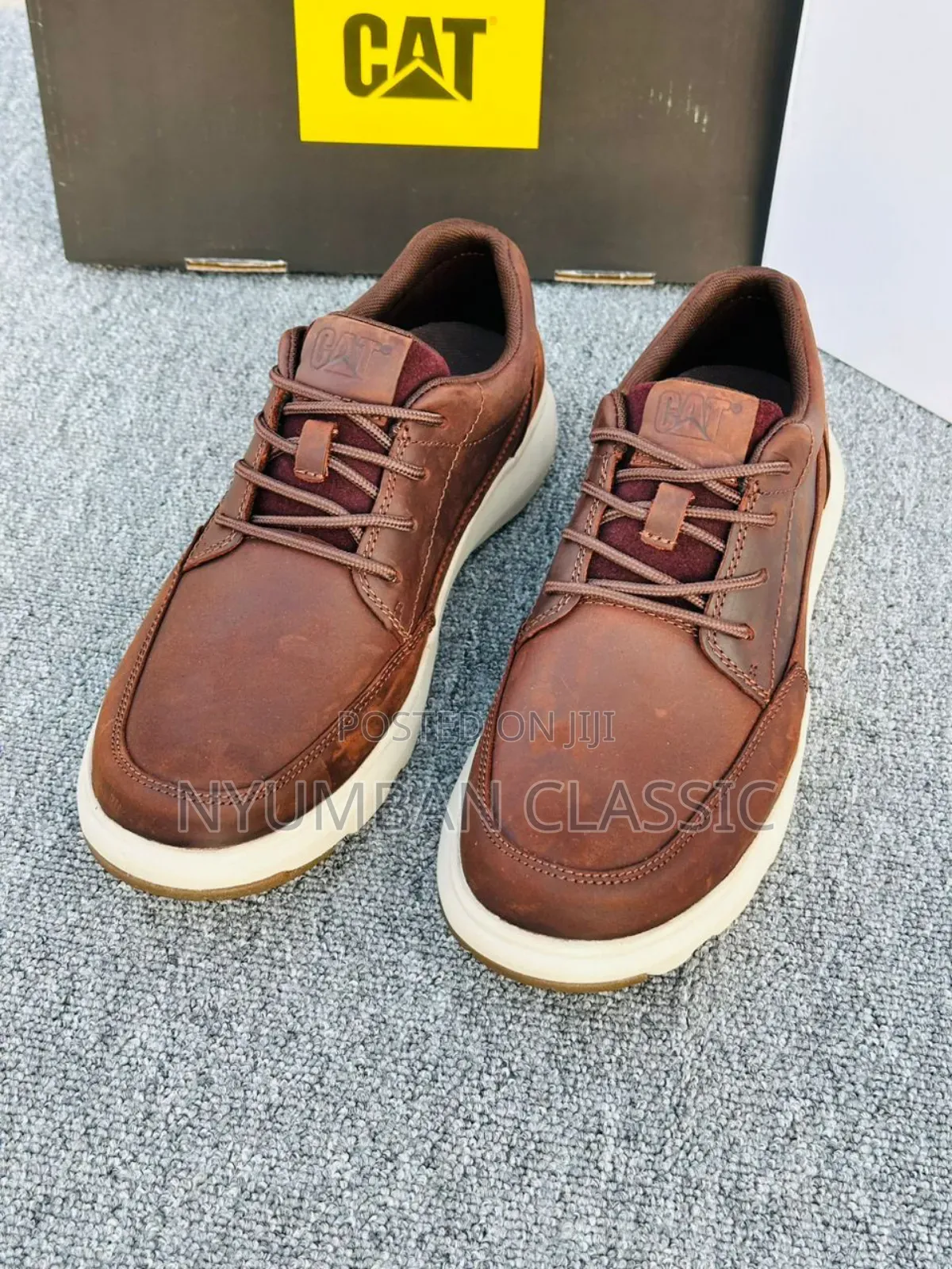 Cat Shoes Original