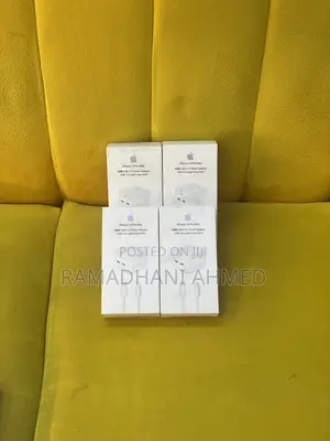 iPhone Fast Charger