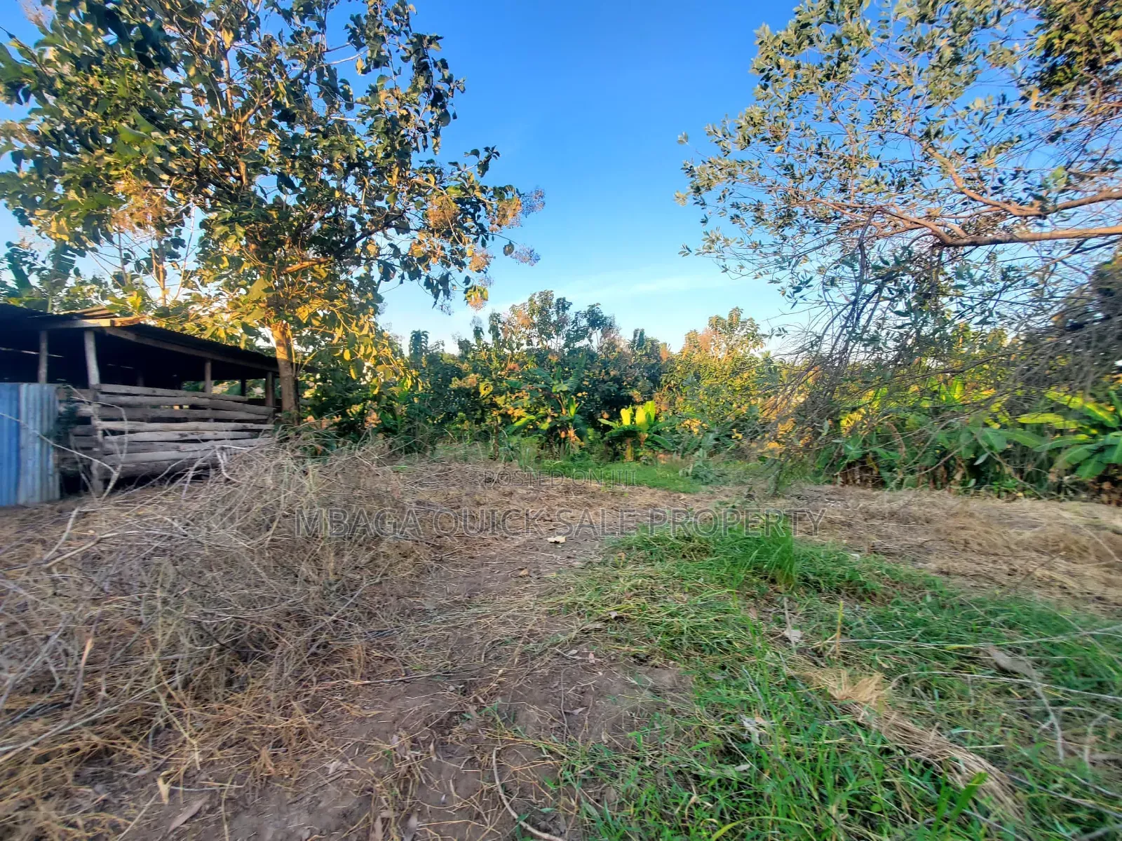 Plot for Sale at Madale