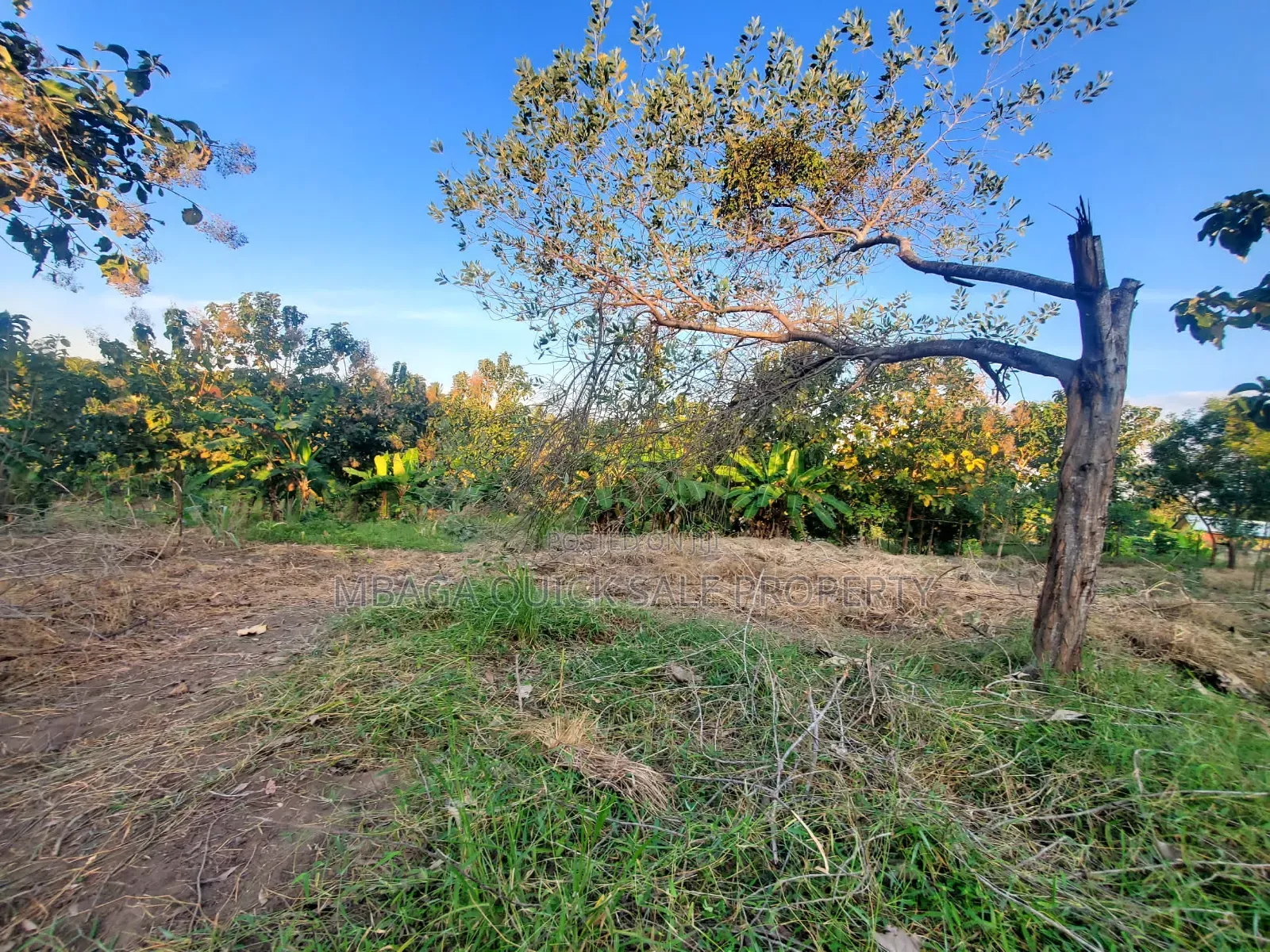 Plot for Sale at Madale
