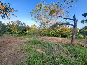 Plot for Sale at Madale