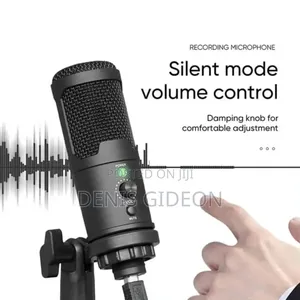 Studio Microphone Depusheng