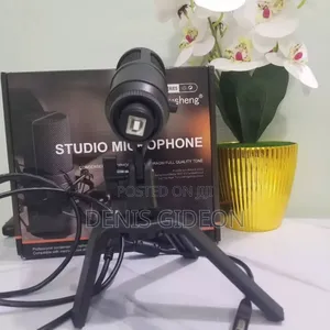 Studio Microphone Depusheng