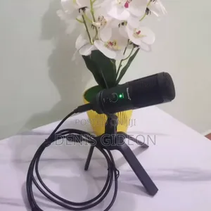 Studio Microphone Depusheng
