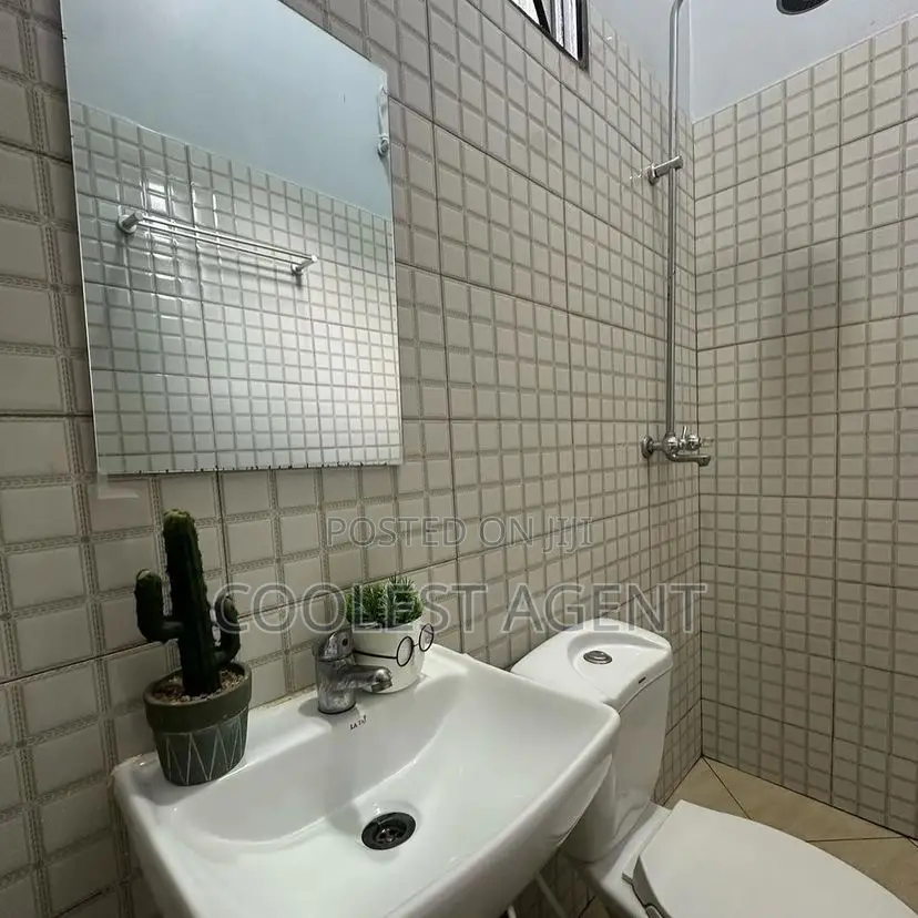 Furnished 1bdrm Apartment in Kijitonyama, Kinondoni for rent