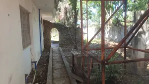 13bdrm House in Avocado, Mikocheni for rent