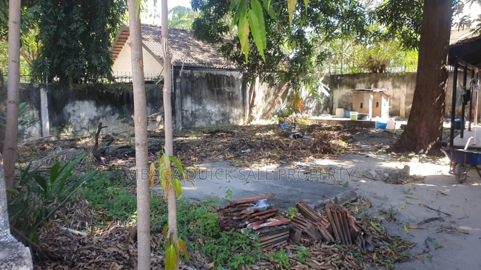 13bdrm House in Avocado, Mikocheni for rent