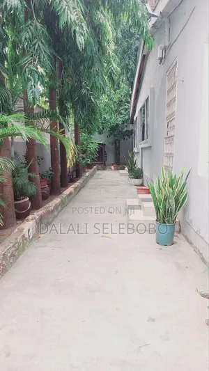 3bdrm Bungalow in Sinza A for rent