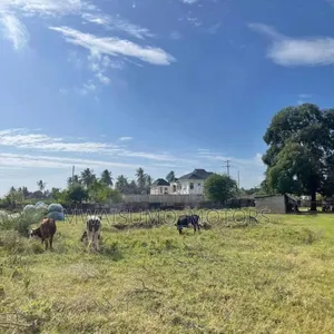 Mbezi Rafia Plot for Sale