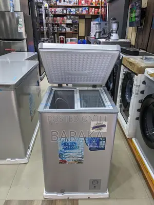 Roch Chest Freezer Liter 100