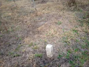 Kiwanja Kinauzwa Chalinze
