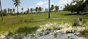 Beach Plot for Sale at Bagamoyo