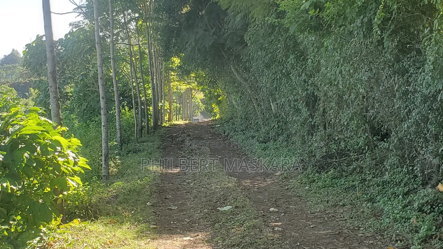 Farm Plot for Sale by Docci Inv LTD