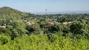 Farm Plot for Sale by Docci Inv LTD