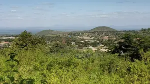 Farm Plot for Sale by Docci Inv LTD