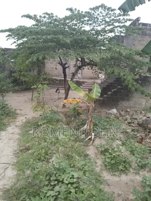 Kiwanja Sqmita 200 Kinauzwa Ml 3.5 Ukonga Bombambili.