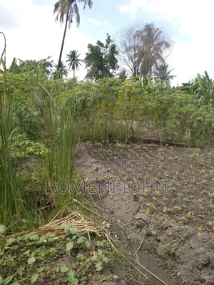 Eneo La Kibiashara Na Makazi Linauzwa Ml 45 Ukonga Mazizini.