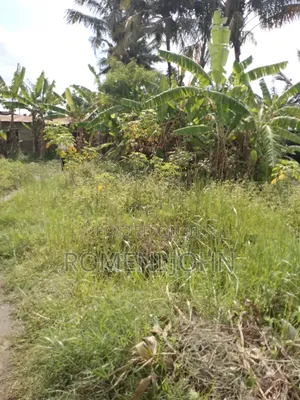Eneo La Kibiashara Na Makazi Linauzwa Ml 60 Ukonga Mazizini.