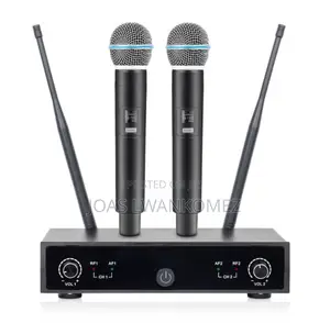 Wireless Microphone With Receiver(Double Mic)