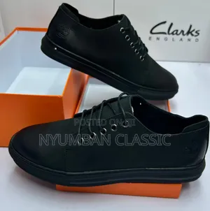 Clarks Shoes Original