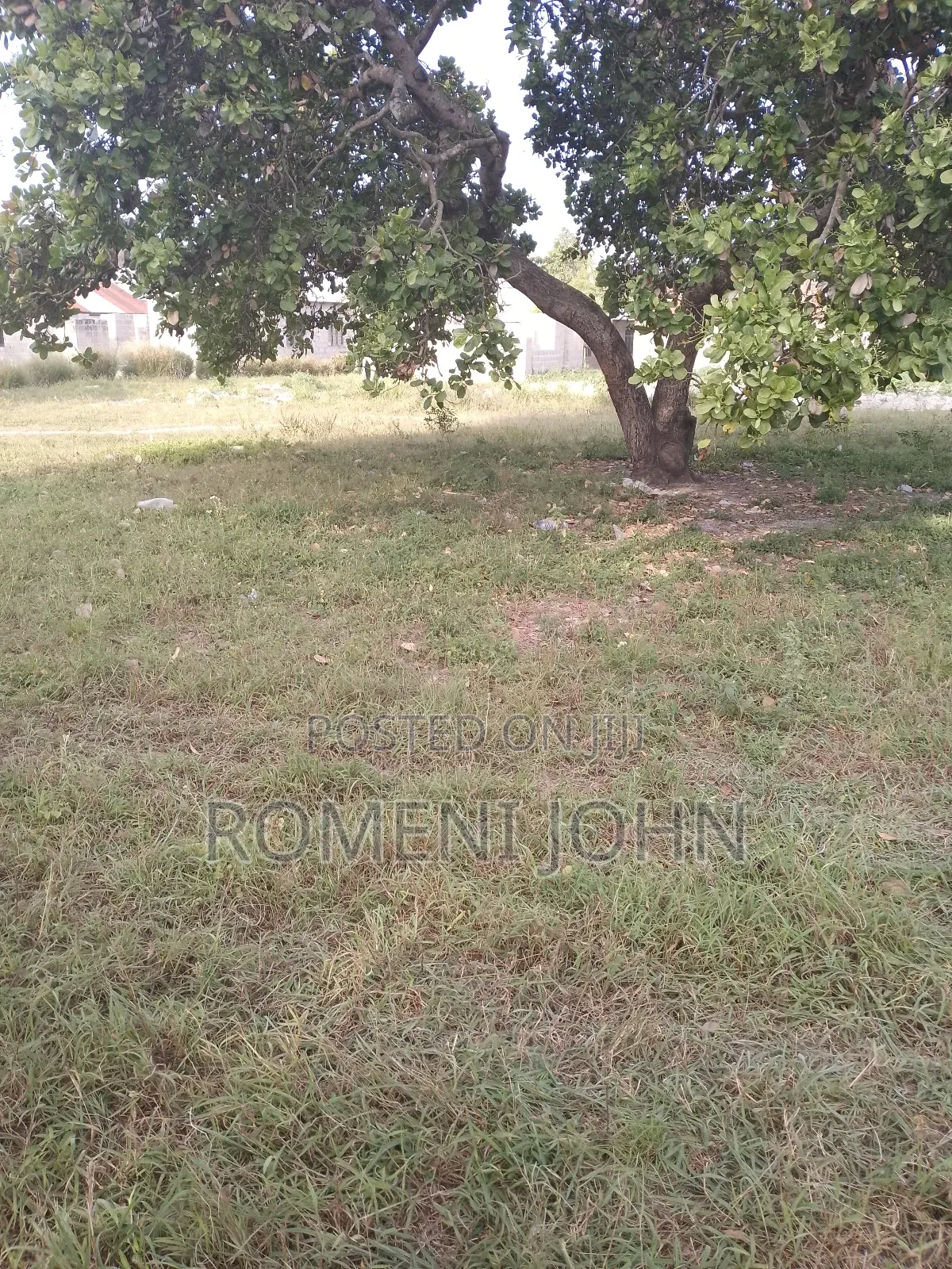 Kiwanja Sqmita 150 Kinauzwa Milioni 4 Ukonga Majohe Bwela.