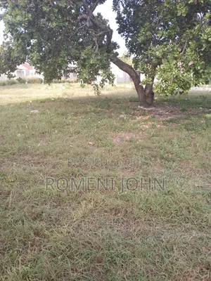 Kiwanja Sqmita 150 Kinauzwa Milioni 4 Ukonga Majohe Bwela.