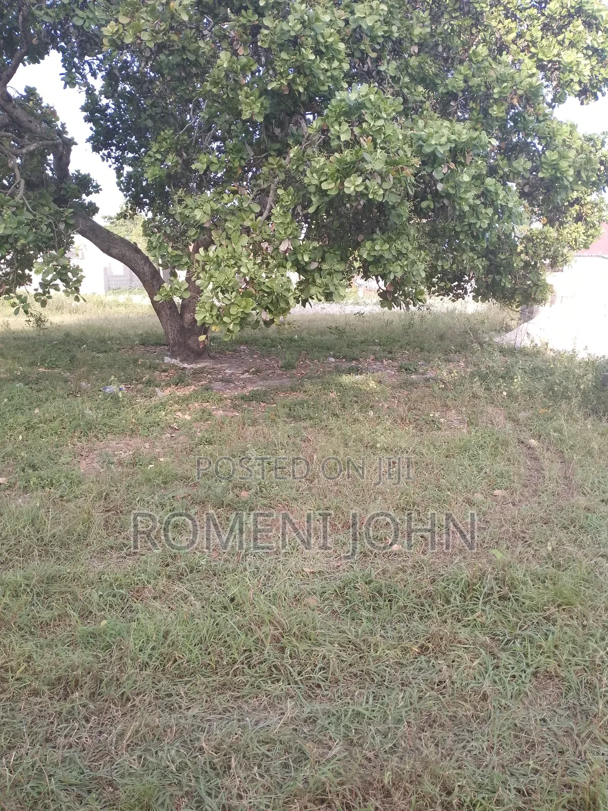 Kiwanja Sqmita 150 Kinauzwa Milioni 4 Ukonga Majohe Bwela.