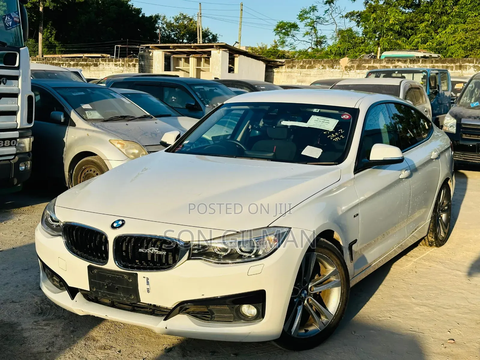BMW 3 Series 2013 Pearl