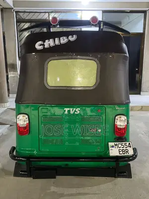 New Bajaj Avenger 200 2024 Green