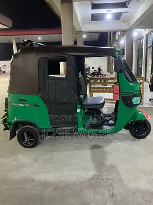 New Bajaj Avenger 200 2024 Green