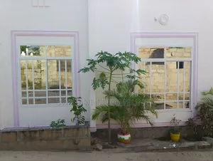 Furnished 3bdrm Apartment in Mbagala Chamazi for sale