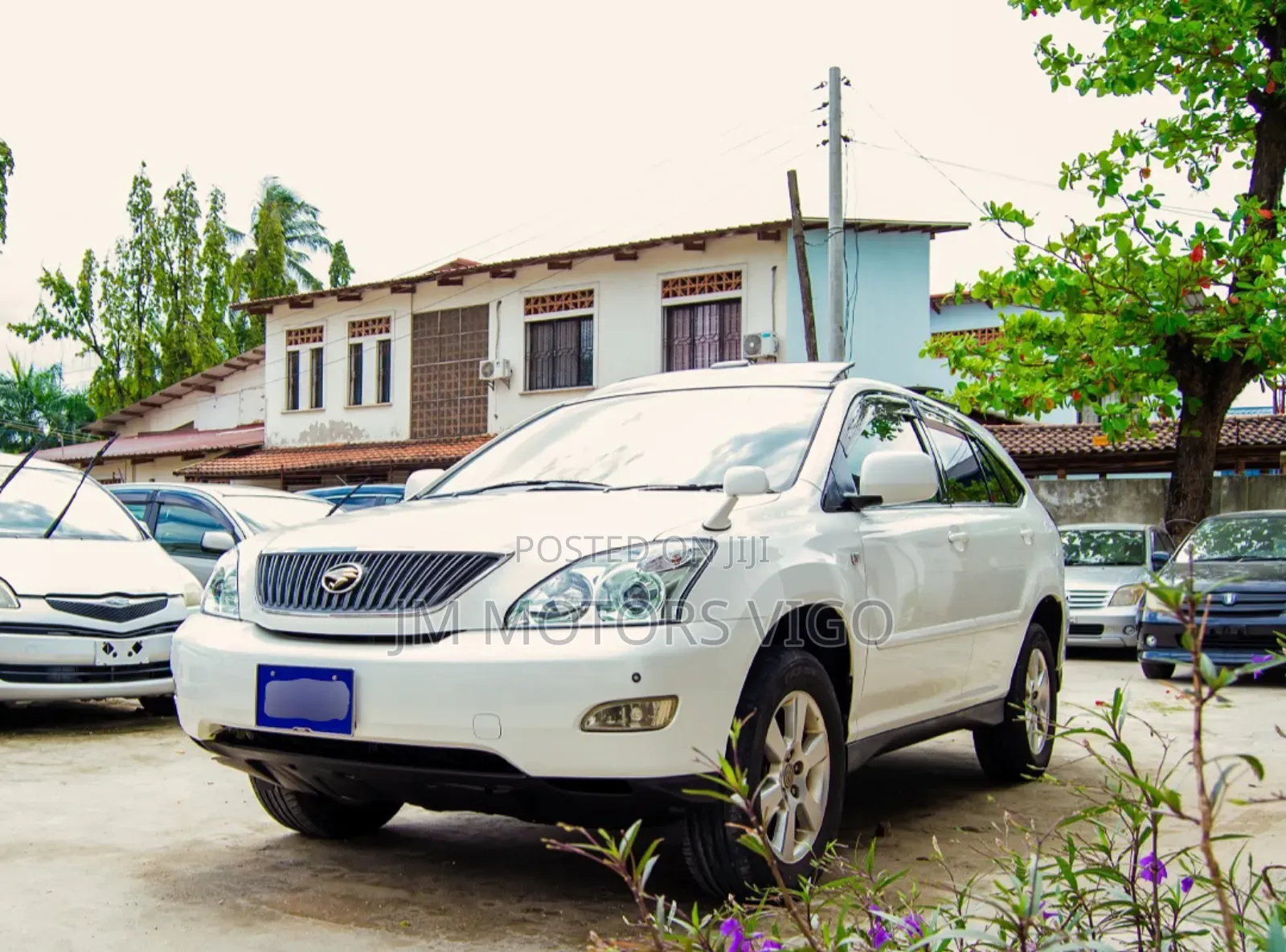 Toyota Harrier 2004 Pearl