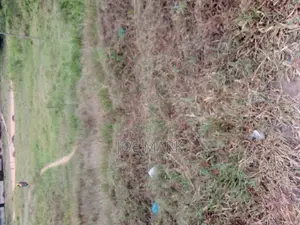 3 Acres for Sale at Mlandizi