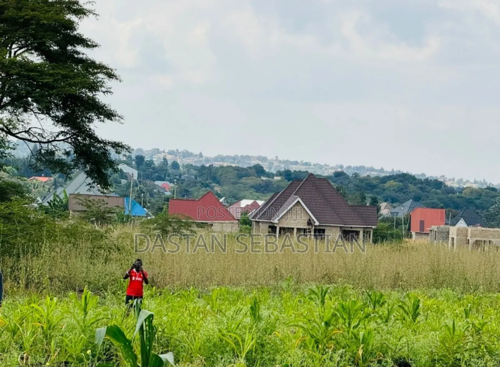 New Project Arusha and Kilimanjaro