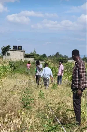 Viwanja Boma Ng'ombe Uzunguni- Hai