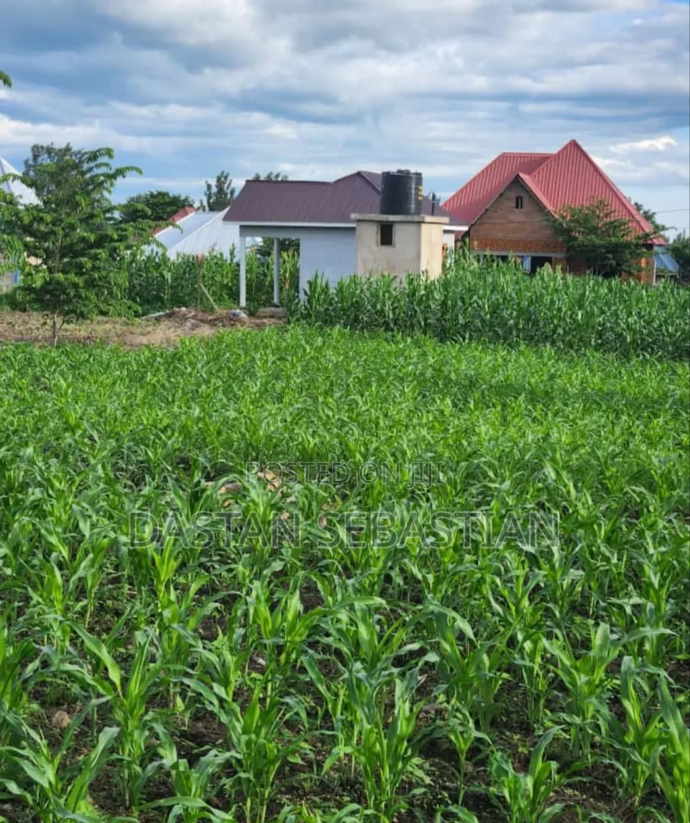 New Project Arusha - Maji Ya Chai