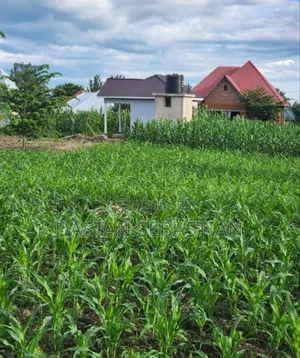 New Project Arusha - Maji Ya Chai