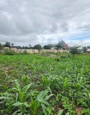 New Project Arusha - Maji Ya Chai