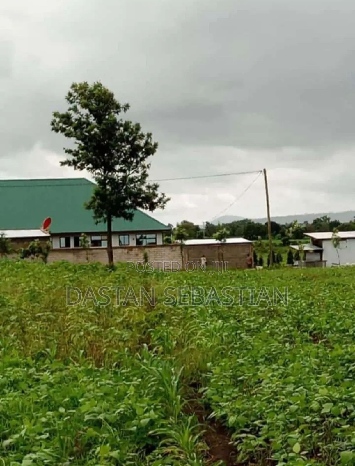 Viwanja East Africa Road