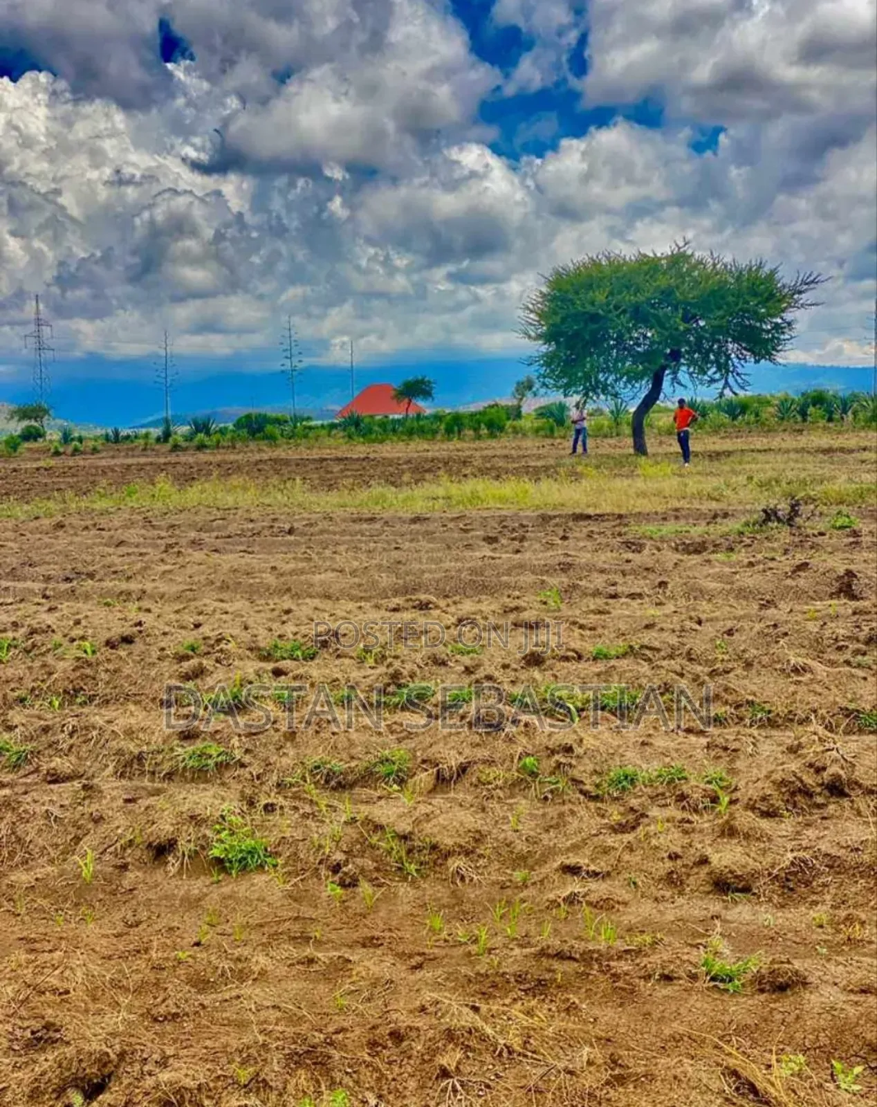 New Project Kisongo Meserani