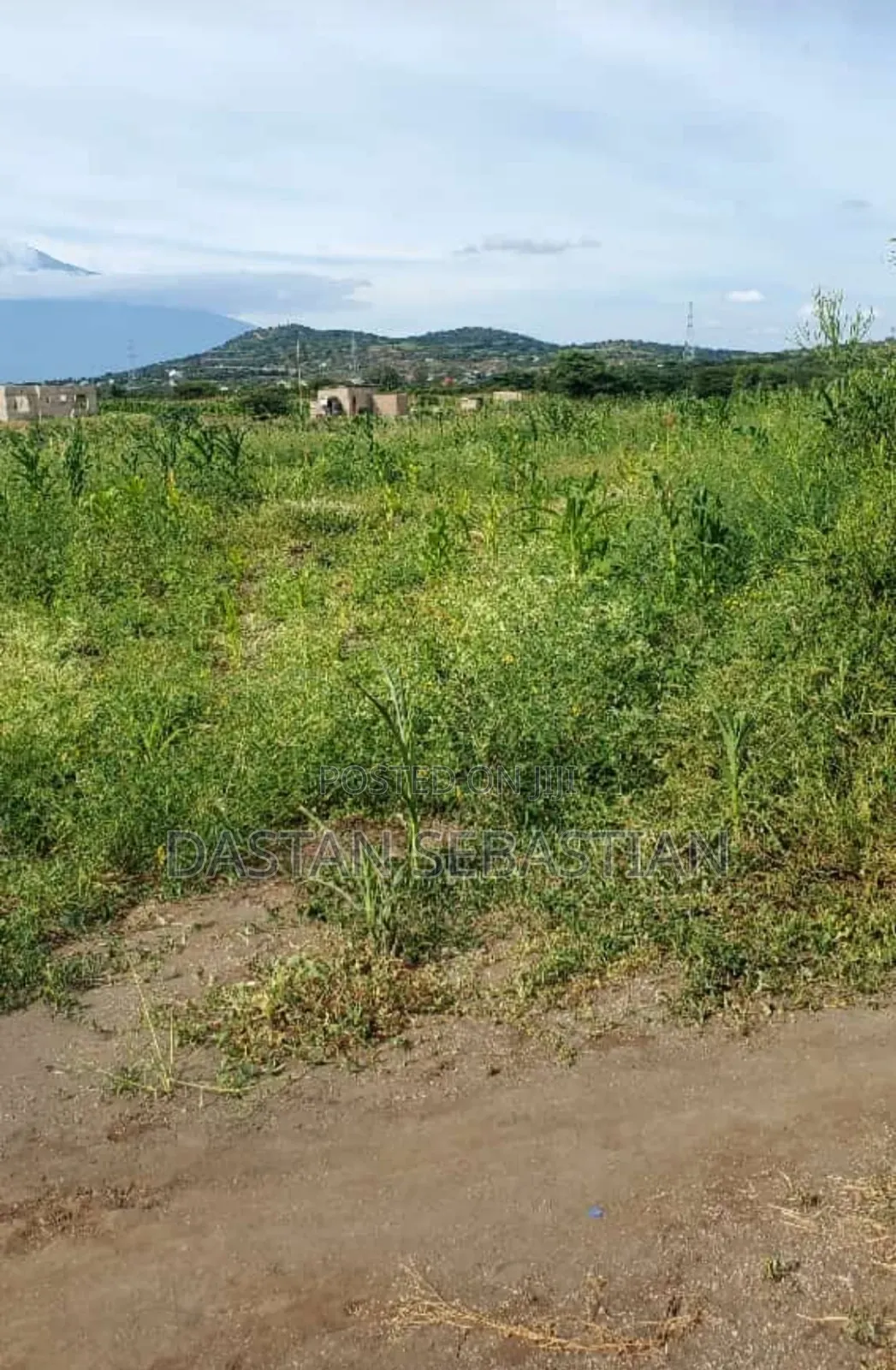 New Project Kisongo Yakini