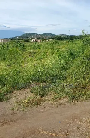 New Project Kisongo Yakini