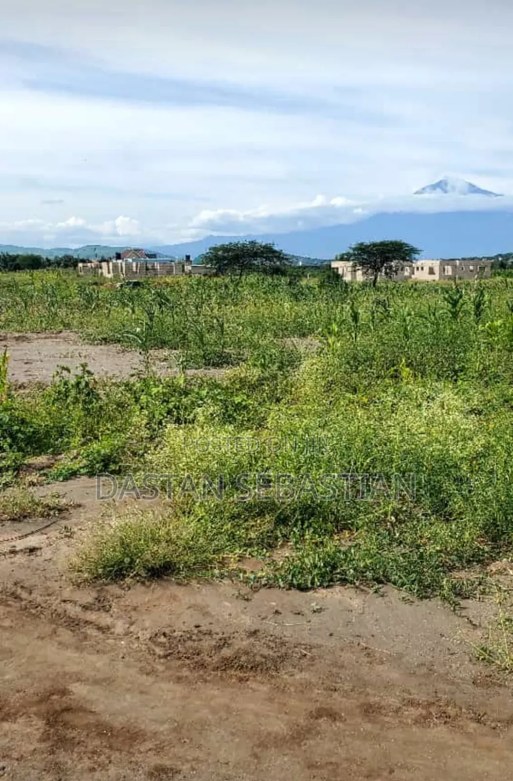 New Project Kisongo Yakini