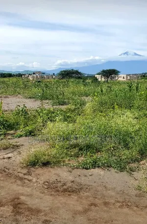 New Project Kisongo Yakini