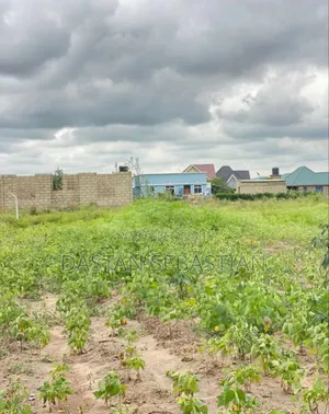 New Project Kisongo Panoni, Shalom