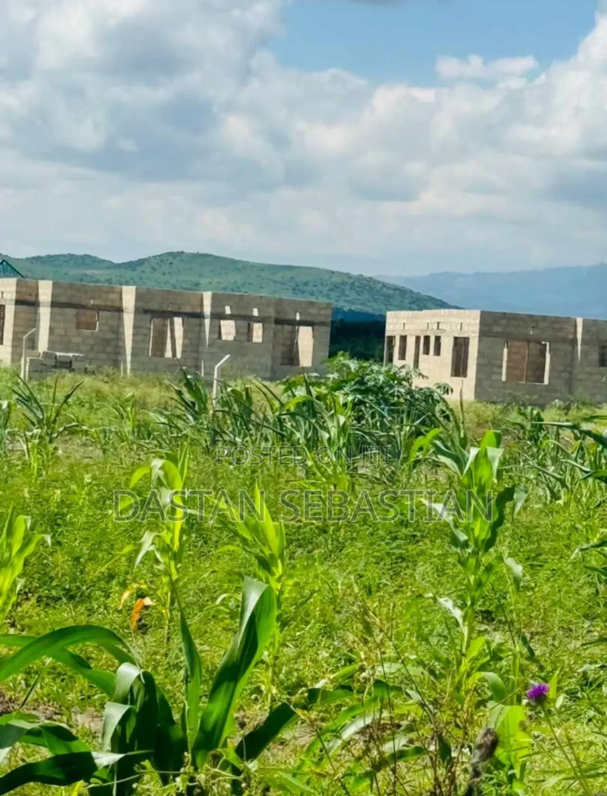 New Project Kisongo Panoni, Shalom