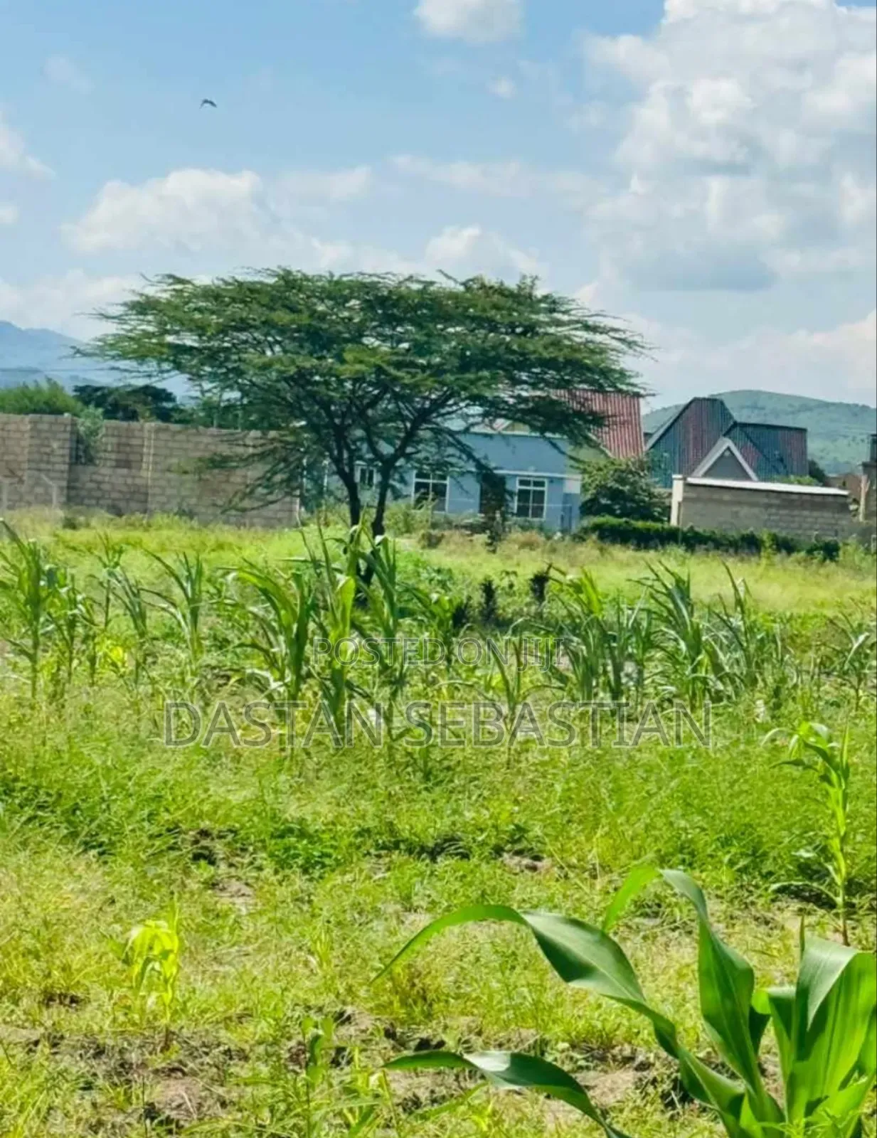 New Project Kisongo Panoni, Shalom