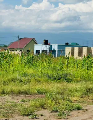 New Project Kisongo Panoni, Shalom