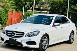 Mercedes-Benz E250 SV Premium 2014 Pearl
