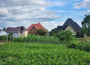 New Project Kisongo Meserani